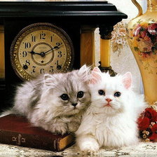 Схема вышивки «КОТЯТКИ»