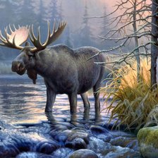 Схема вышивки «лось»