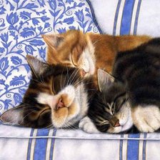 Схема вышивки «Коты»