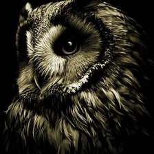 Схема вышивки «Сова»