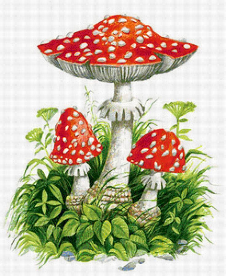 Мухоморчики - грибы - предпросмотр