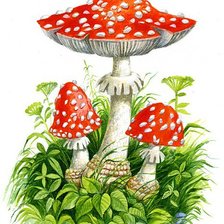 Схема вышивки «Мухоморчики»