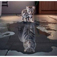 Схема вышивки «КотоТигря»