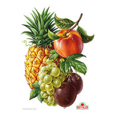 Схема вышивки «№1238562»