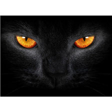 Схема вышивки «№1238566»