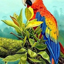 Схема вышивки «попугай»