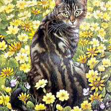 Схема вышивки «котик»