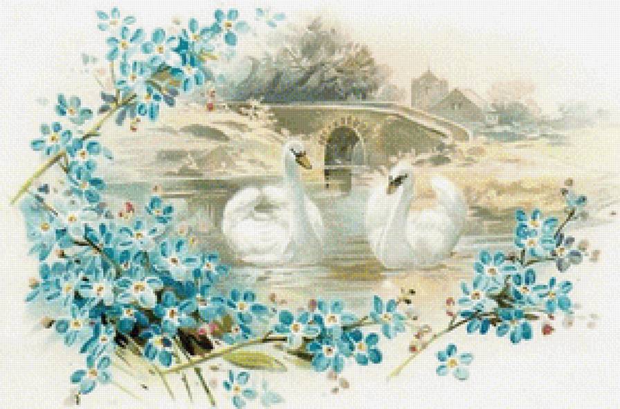 Лебеди - цветы, лебеди, озеро - предпросмотр