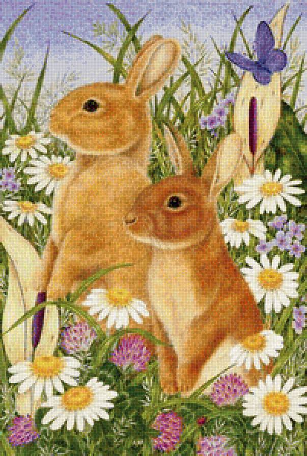 Зайки - кролики, животные - предпросмотр