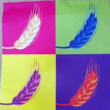 Схема вышивки «espiga»