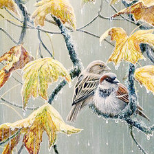 Схема вышивки «173»