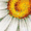 Предпросмотр схемы вышивки «Ромашки» (№1239657)