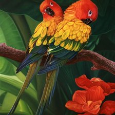 Схема вышивки «Пара»