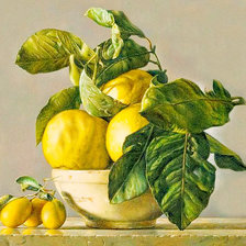 Схема вышивки «176»