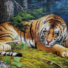 Схема вышивки «тигр»