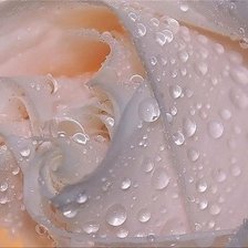 Схема вышивки «нежная роза»