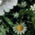 Предпросмотр схемы вышивки «Летний натюрморт» (№1240664)