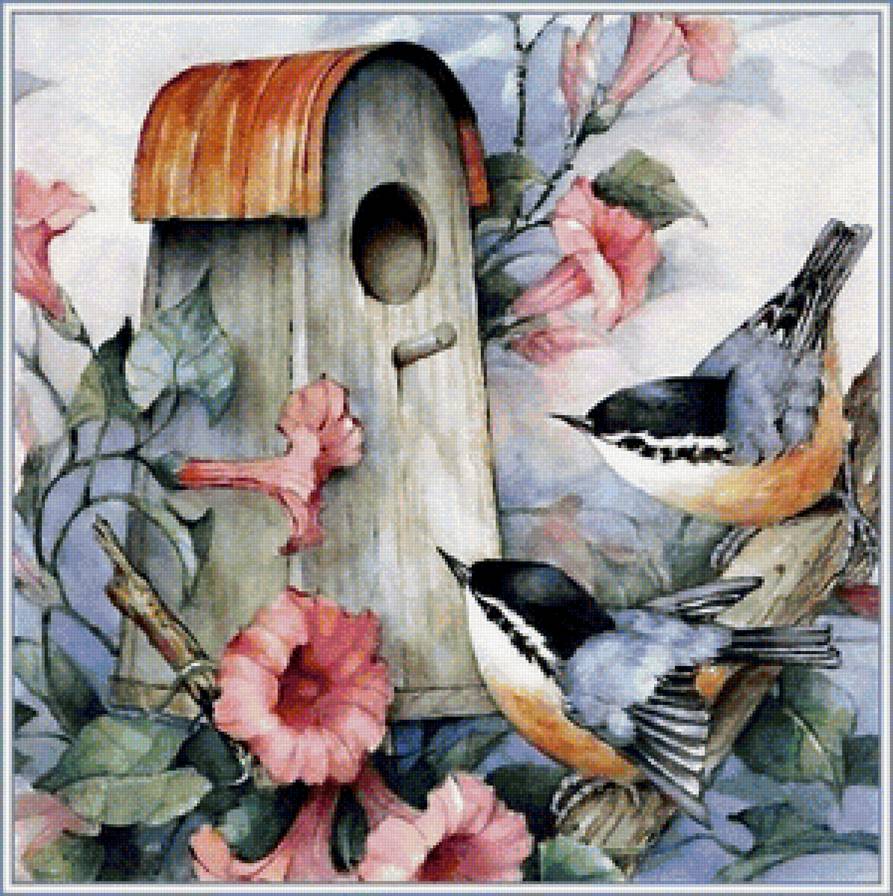 акварельные птички - птицы - предпросмотр