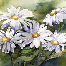 Схема вышивки «Акварельные ромашки»