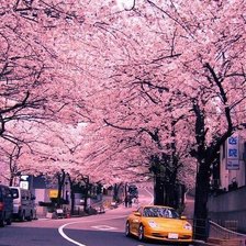 Схема вышивки «весна»