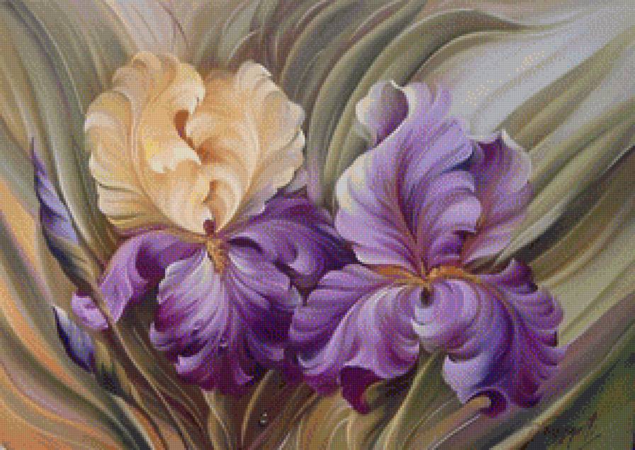 ирис - цветы - предпросмотр