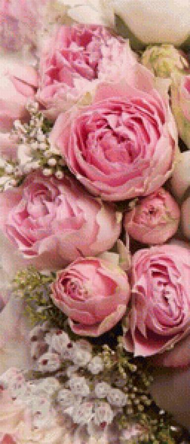 Нежный букет (Первый модуль) - букет, розы, нежный букет - предпросмотр