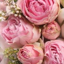 Схема вышивки «Нежный букет (Первый модуль)»