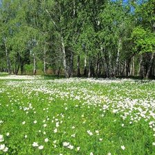 Схема вышивки «Весна в лесу»