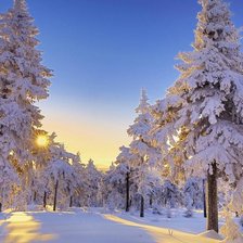 Схема вышивки «Зимний лес»