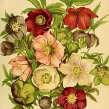 Схема вышивки «№1241299»