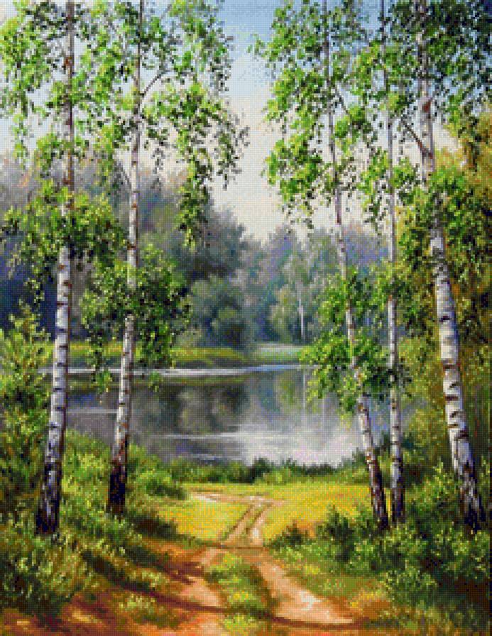 Русские берёзы - природа, березы, пейзаж - предпросмотр