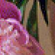 Предпросмотр схемы вышивки «Пионы с черешнями» (№1241561)