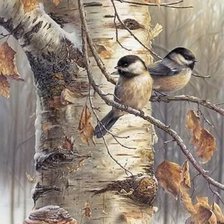 Схема вышивки «птицы»