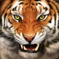 Схема вышивки «Тигр»