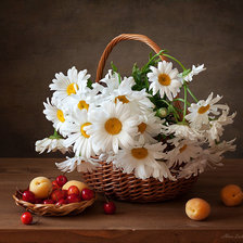 Схема вышивки «Ромашки»