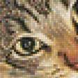 Предпросмотр схемы вышивки «Серия "Фауна"» (№1241936)