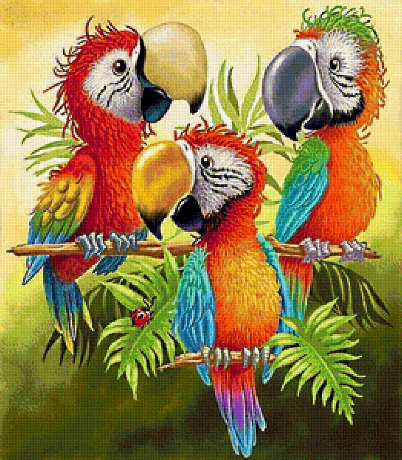 дружная семейка - птицы, попугаи, попугай, ара - предпросмотр