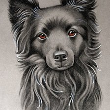 Схема вышивки «Умный взгляд»