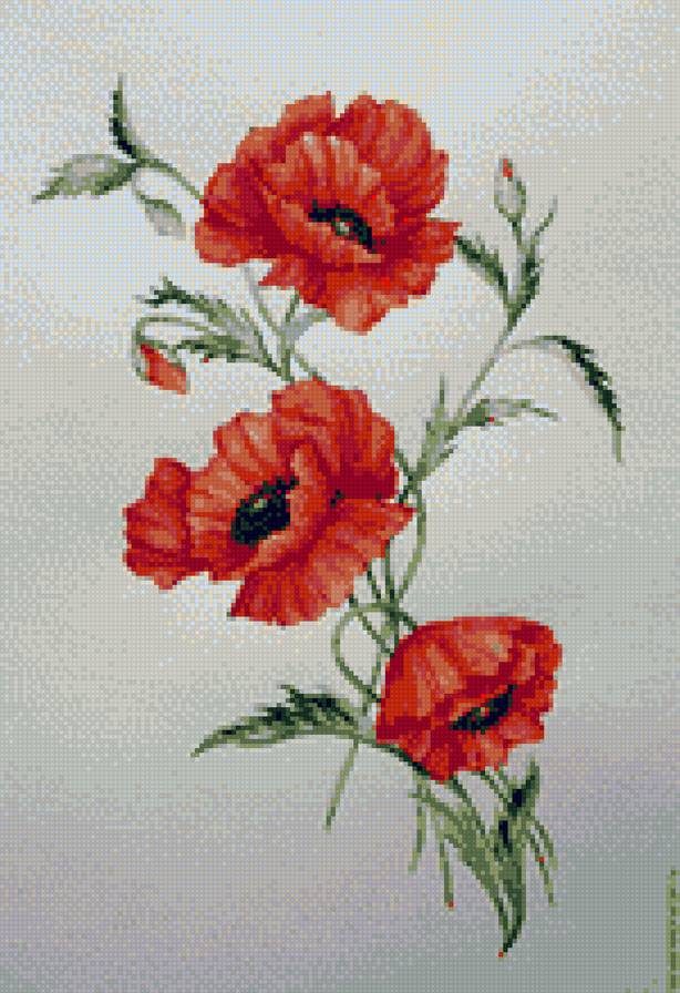 маки - вышивка для одежды, маки - предпросмотр