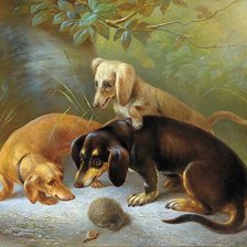 Схема вышивки «Неожиданная встреча»