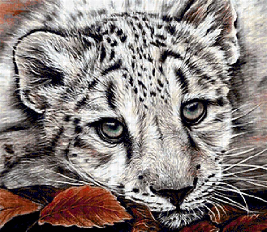 Малыш - животные, леопард, хищник - предпросмотр