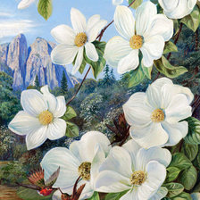 Схема вышивки «№1242534»