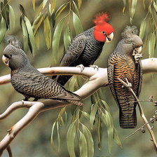 Схема вышивки «№1242552»