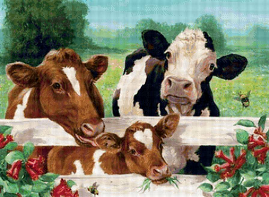 буренки - животные, коровы, лето, цветы - предпросмотр