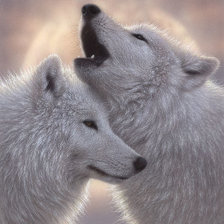 Схема вышивки «волчья песня»