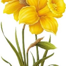 все оттенки желтого