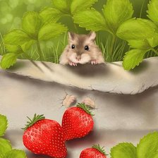 Схема вышивки «Мышка»