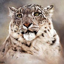 Схема вышивки «Барс»