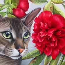 Схема вышивки «котик»