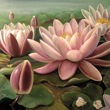 Схема вышивки «Розовая красота на воде»